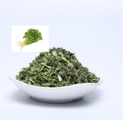 China High quality dried dehydrated coriander vegetable for sale