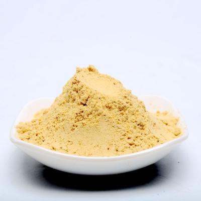 China Factory Direct Sale Pumpkin Powder Dehydrated Dry Vegetable Powder for sale