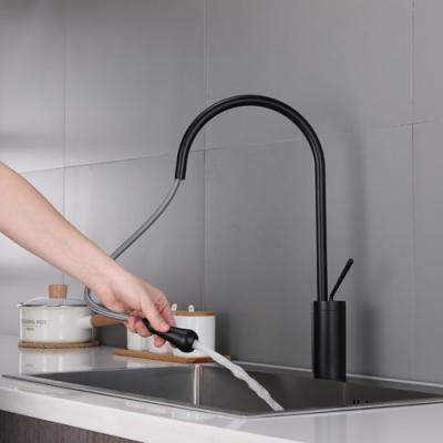 China Contemporary Single Handle 304 Stainless Steel Brushed Black Faucets Hot and Cold Faucet Kitchen Mixer Tap for sale