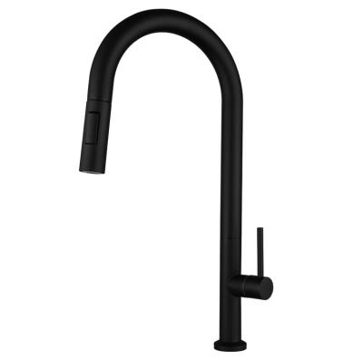 China Black Cooling Sense Faucets SUS 304 Single Clearance Kitchen Faucet With Sprayer for sale