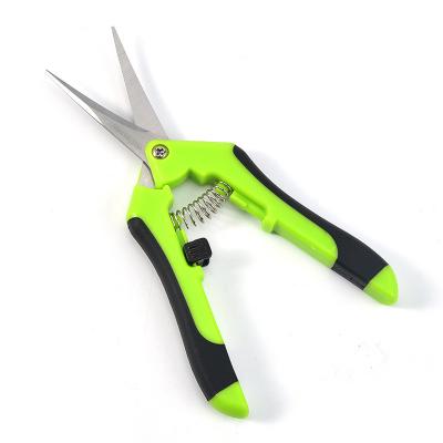 China Universal Straight Head Gardening Plant Pruning Pruning Scissors for sale