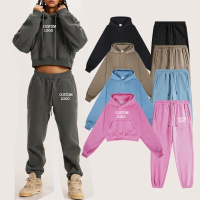 China Winter Women Sweatsuit Breathable Tracksuit Set Crop Top Hoodie Oversized Sweatpants 2 Piece Plus Size Fleece Jogging Fits Unisex Adult for sale