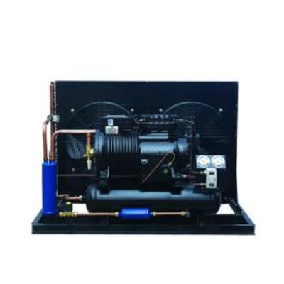 China Condensing Refrigeration Compressor Cooler Air Cooled Water Chillers For R22 R134A R404A R507C R407C for sale