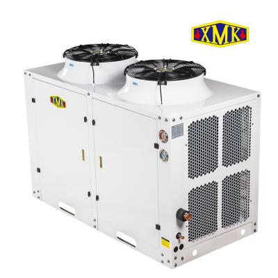 China Hotels Refrigeration Frozen Air Cooled Unit 6HP Box Type Condensing Compressor For Sale Low Temperature Condensing Unit for sale