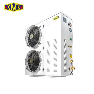 China Refrigeration Parts Industrial Equipment 7HP Cafeterias -18 Degree To Degree Two Horizontal Blower Refrigerator for sale