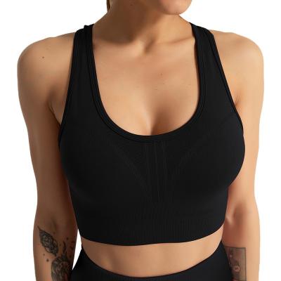 China Viable Women Seamless Sports Bra Top Sports Wear For Women Gym Fitness Bra Women Clothes for sale