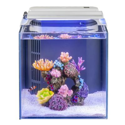 China Quality Assurance Freshwater Smart Clownfish Aquarium Stocked Fish Tank for sale