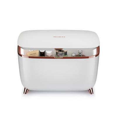 China Good Quality 9L THERMO-ELECTRIC Portable Beauty Warmer Mini Car Fridge Makeup Cosmetics 24v DC AC Cooler Custom for sale