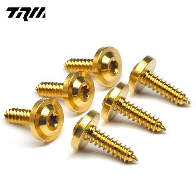 China Custom Different Size GR5 Low Density Titanium Self Tapping Torx Screws Titanium Bolts Motorcycle Car for sale