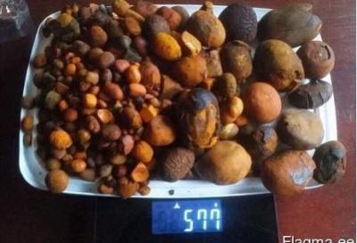 China Ox Gallstones,Cattle Gallstones,Cow Gallstones,Wholesale Ox Gallstone,Ox Gallstone for Sale,Ox Gallstone. for sale