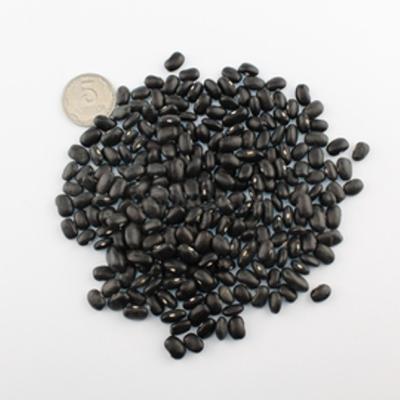 China Dried Kidney Beans/Black Pinto Beans,/Sun Dried Kidney Beans /Red Kidney Beans for Sale for sale