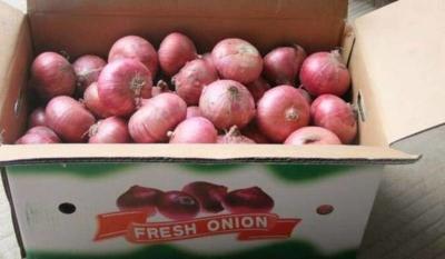 China Fresh Red Onion,Red Onions for Food,Red & White Onions for Sale for sale