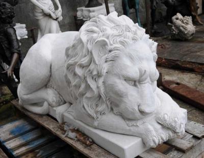 China Outdoor Marble Lion Sculpture,Lion Statue for Sale for sale