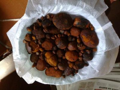 China Cow & Ox Gallstones/Bovine Gallstone for sale