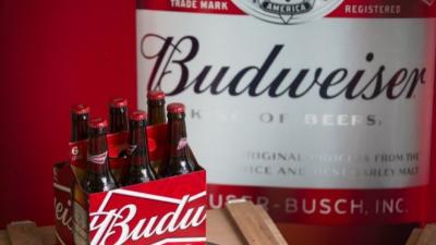 China Budweiser Beer 355ml Bottle/Budweiser Beer Alcoholic Content 5%/Bulk Budweiser in Bottles for sale