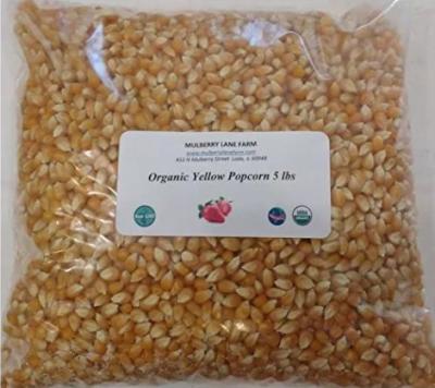 China Yellow Organic Popcorn/Grade A Popcorn Grains/Bulk Dried Popcorn for Sale/Wholesale Popcorn for sale