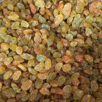 China Sweet Golden Raisin/Brown Raisin for Bakery Products/Dried Raisin Fruits/Super Red Raisin/Brown Raisin 25kg for sale