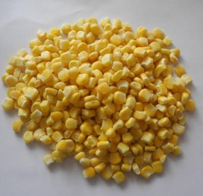 China Wholesale FROZEN corn kernels for sale