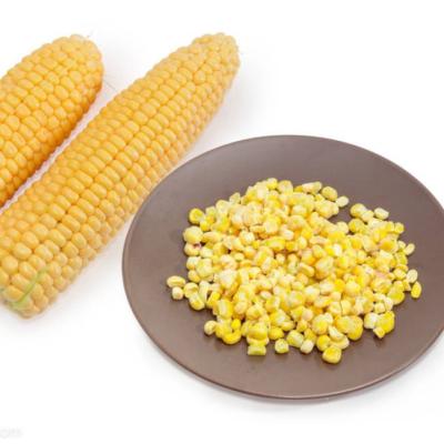 China FROZEN Corn Kernel Salad for sale