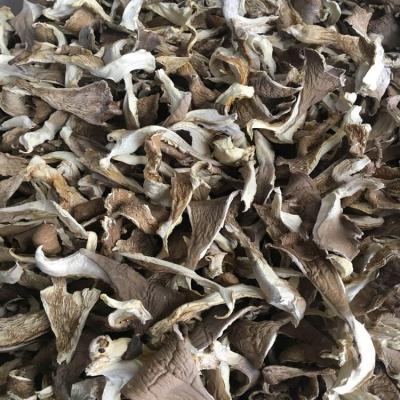 China Pleurotus dry dry ostreatus, a specialty of North China for sale