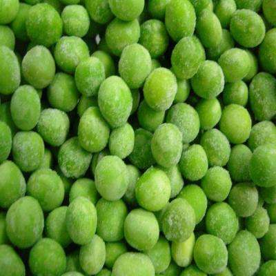 China Dry Frozen Green Beans for sale