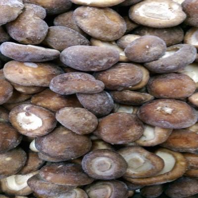 China Dry frozen mushroom for sale