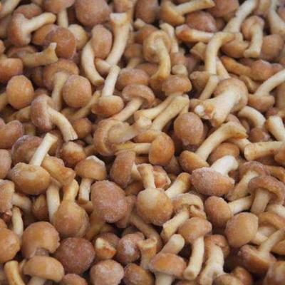 China Dry Frozen Slippery Mushroom for sale