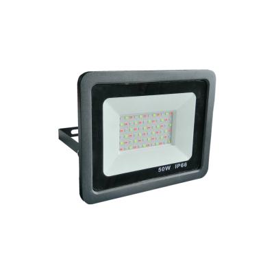 China LANDSCAPE Dimmable RGB IP66 LED Flood Light Outdoor Garden Remote Control 50 Watts 100 Watts for sale