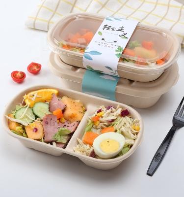 China Manufacturer Export 100% Biodegradable Lunch Box Paper Biodegradable Disposable Food Containers With Lids for sale