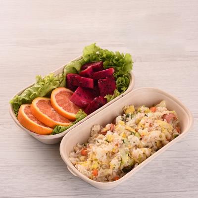 China Biodegradable Paper Food Container With Inner Layer Lunch Boxes Paper Disposable Biodegradable Lunch Box for sale