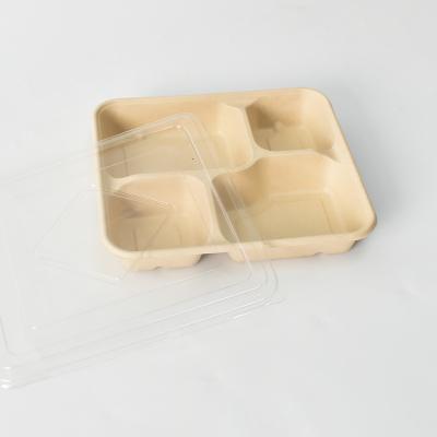 China Packing Boxes Disposable Food Container With Plastic Lid Sugar Cane Take Out Lunch Box for sale