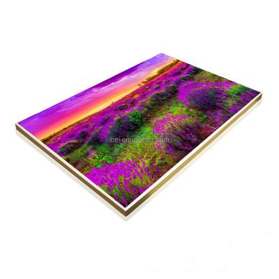 China 2019 Amazon Best Selling High Quality Bathroom Infrared Heating Panel TUV GS Approved with CE and RoHS for sale