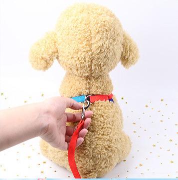 China Rainbow Color Pet Rope Dog Cat Training Leash Chest Stocked Hot Selling Strap for sale