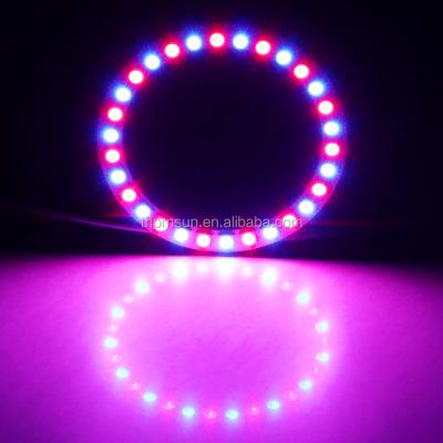 China wholesale price residential smd 5050 rgb hunting halo rings sk6812 ws2812 led ring lighting for sale