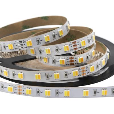 China Best garden plant 12v 24v bicolor 2 in 1 led strip light dimming white led streifen for sale