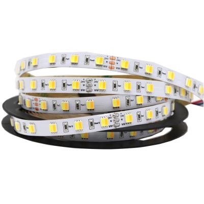 China Garden Bi Color 12v 24v Epistar 5050 White Led Strip Low To Heat Flexible Led Strip for sale