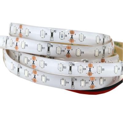 China Flexible Hotel DC24V DC12V LED Light Blue Strip 2835 LED Strip 60LEDs/m for sale