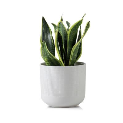 China Durable Professional Manufacture Ceramic Flower Pot White Bonsi Flower Pots For Home Decor Indoor for sale