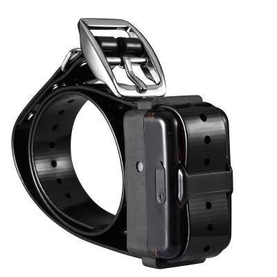 China Stored Rechargeable 3 Dog Training Collar System Hunting Collar IPX7 Range Control Bottom Shock Led Collar for sale