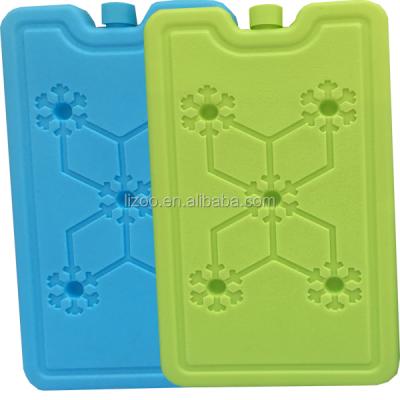 China Insulated Hard Plastic Shell Ice Packs Cold Box Freezer Block for sale