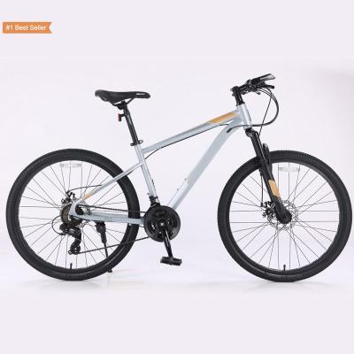 China Istaride 29Inch Bicicleta Steel Mountain Bike Down Hill Bikes 26 In Bike29 Lightweight Fat Tire Bicicletas for sale