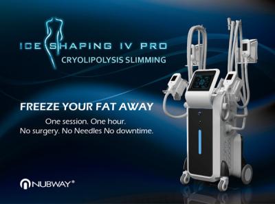 China 2019 New technology bearty equipment 3 cryo handles lipo cryotherapy for sale