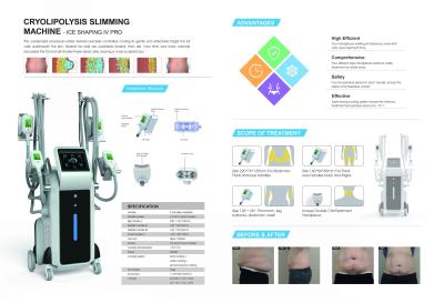 China 2019 New technology bearty equipment 3 cryo handles lipo cryotherapy for sale