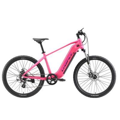 China Aluminum Alloy Hybrid 7 Speed ​​250w Dual Battery Dual Battery Akez Mountain Bike Pro Aostirmotor Electric Mid Drive For Adults Female for sale