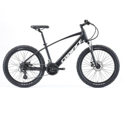 China 6061 Aluminum Alloy 24*2.35 Inch 24*2.35 Inch Tire Electric Fast Electric Bike 350w 500w 10ah Dirt Off Road Fat Bike Tire for sale