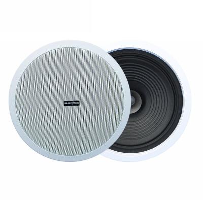 China No Ceiling Speaker Factory Direct Sale 10W Good Sound System ABS Material for sale