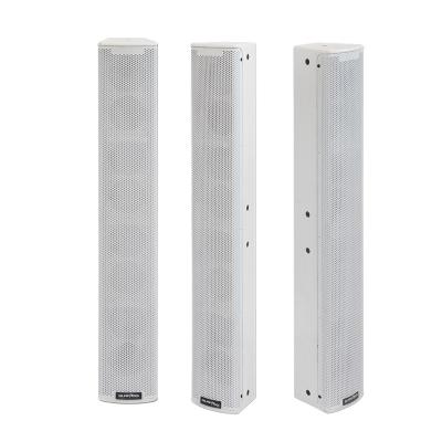 China Water-based waterproof spray on waterproof birch plywood outdoorSchool/store/park public announcement broadcast on wall PA speaker remote broadcasting system for sale