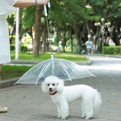 China POE Modern Waterproof Outdoor Pet Transparent Umbrella For Dog for sale