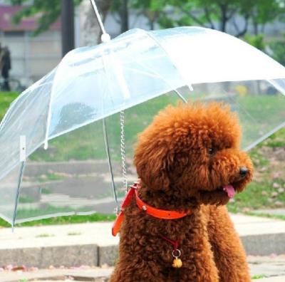 China Children's Rain Pet Cat And Pet Dog Umbrella Pet Umbrella For Dog for sale