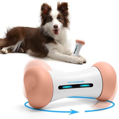 China Fashionable Remote Control Interactive Wickedbone Smart Pet Toy for Small Medium Large Dogs for sale